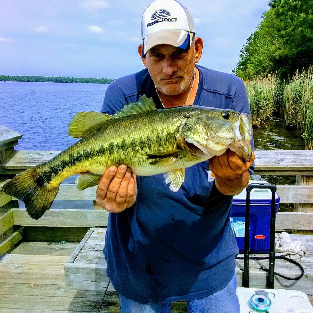 Meet your Posher, Donald